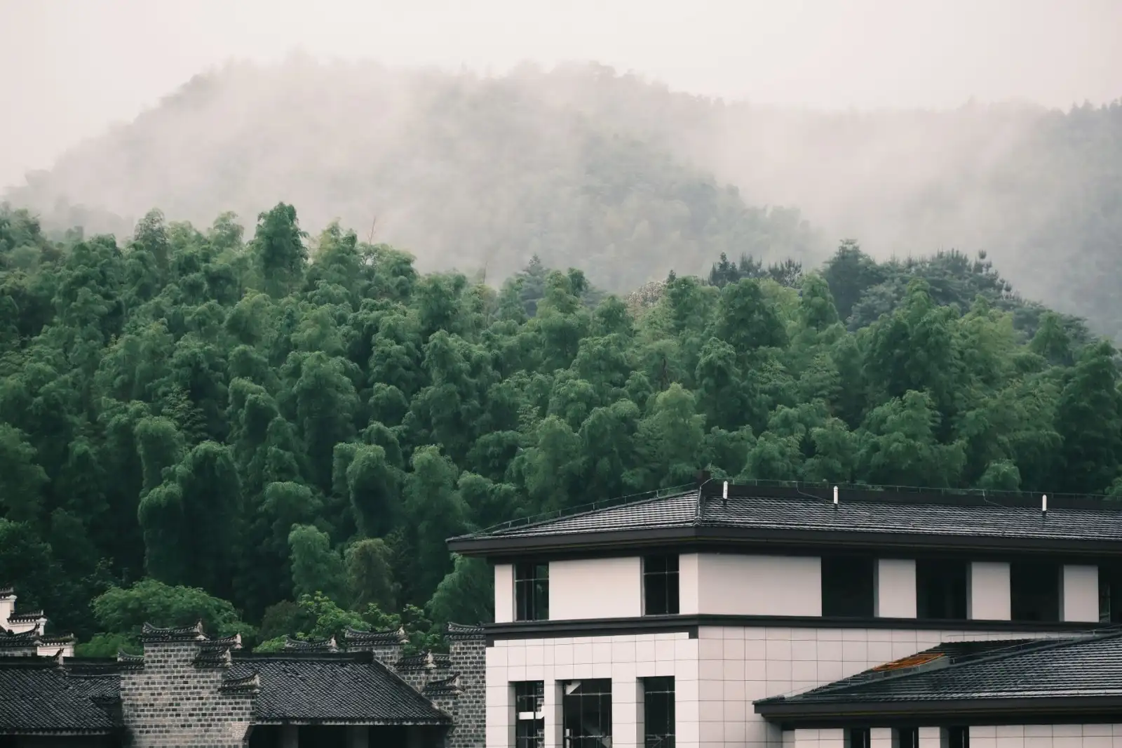 乐山地区生猪养殖场种猪繁育技术要点与常见误区解析